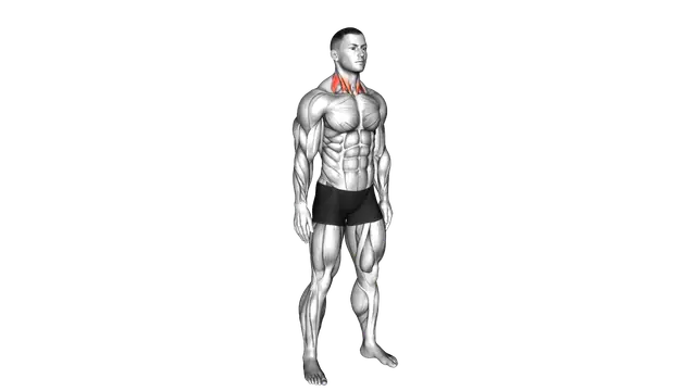 Backward Forward Turn to Side Neck Stretch exercise demonstration