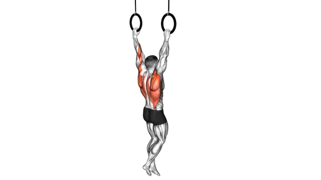 Ring Pull Up exercise demonstration