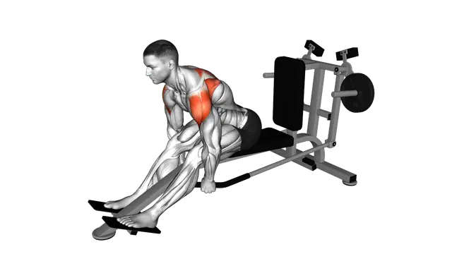 Lever Seated Bent Over Rear Delt Fly exercise demonstration