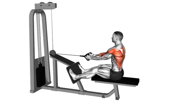 Cable Seated Lats Focused Row exercise demonstration