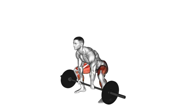 Barbell Paused Sumo Deadlift exercise demonstration