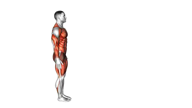 Inchworm and Mountain Climbers exercise demonstration
