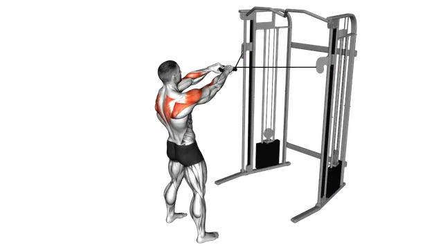 Cable Standing Face Pull exercise demonstration