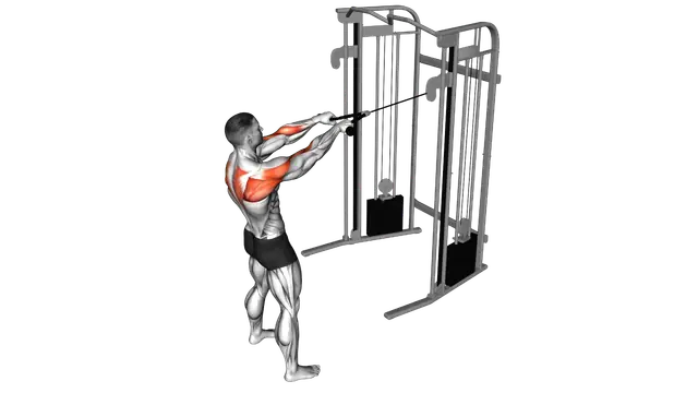 Cable Standing Face Pull (with rope) exercise demonstration
