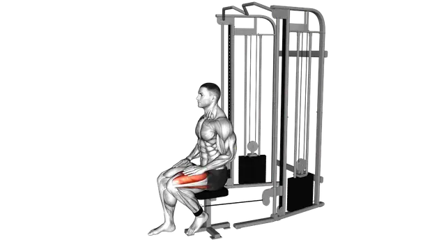 Cable Seated Leg Extension exercise demonstration