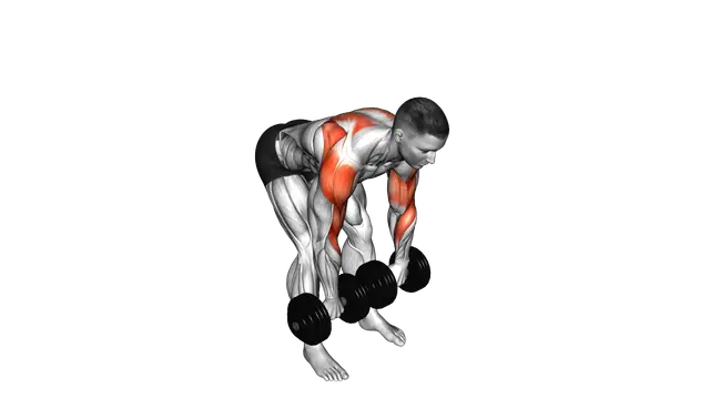 Dumbbell Bent Over Face Pull exercise demonstration