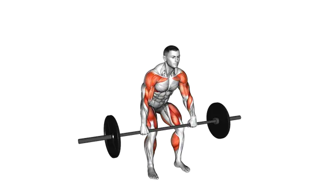 Barbell Hang Power Clean exercise demonstration