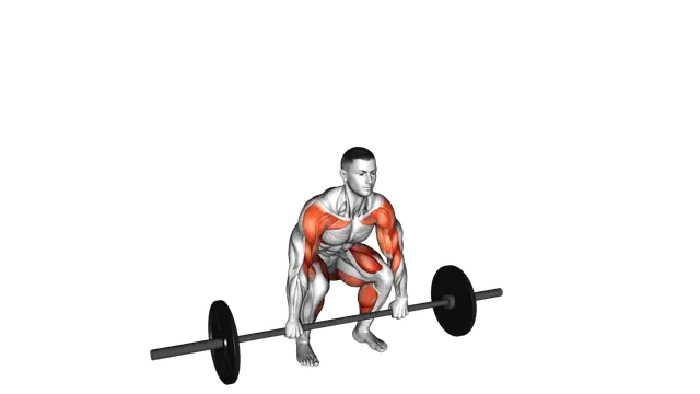 Barbell Clean High Pull exercise demonstration