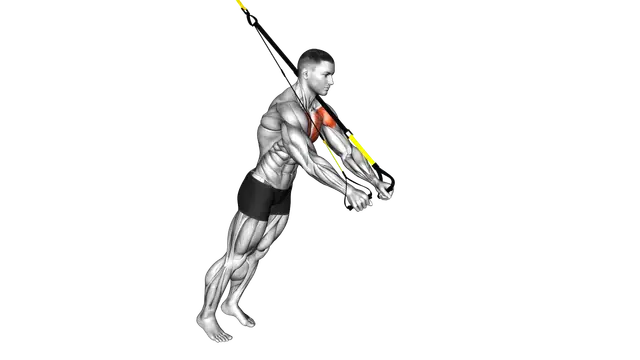 Suspension Fly exercise demonstration