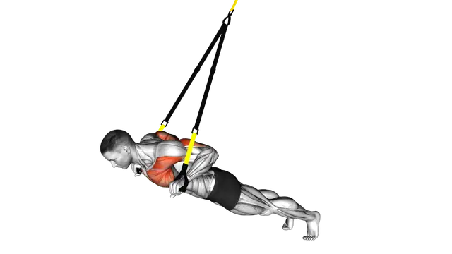 Suspension Chest Press exercise demonstration