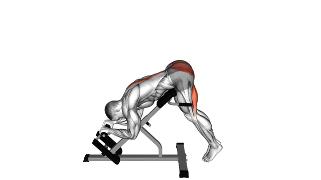 45 degrees Reverse Hyperextension exercise demonstration