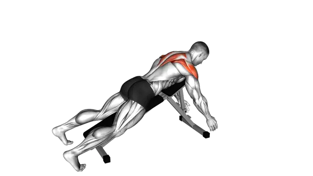 Prone Y Raise exercise demonstration