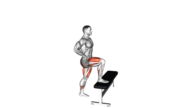 Bodyweight Step up exercise demonstration