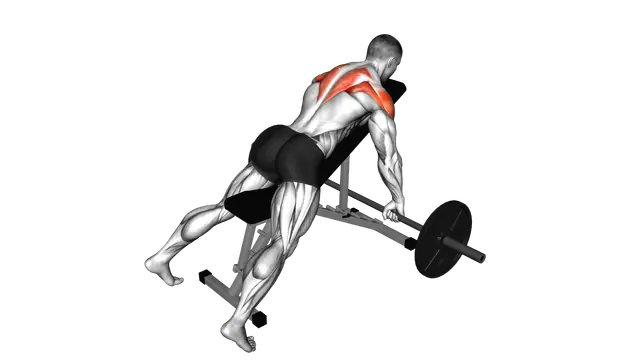 Barbell Incline Rear Delt Row exercise demonstration