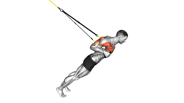 Suspension Close grip Chest Press exercise demonstration