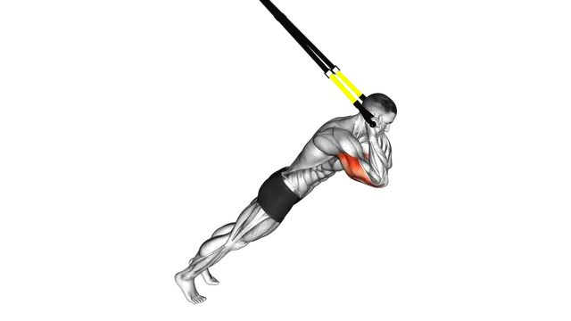 Suspension Triceps Extension exercise demonstration