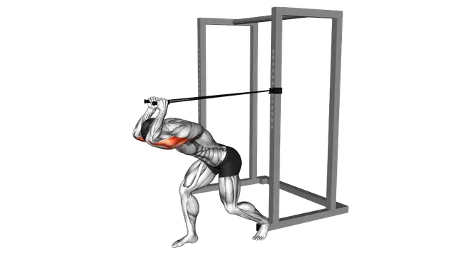 Band High Pulley Overhead Triceps Extension exercise demonstration