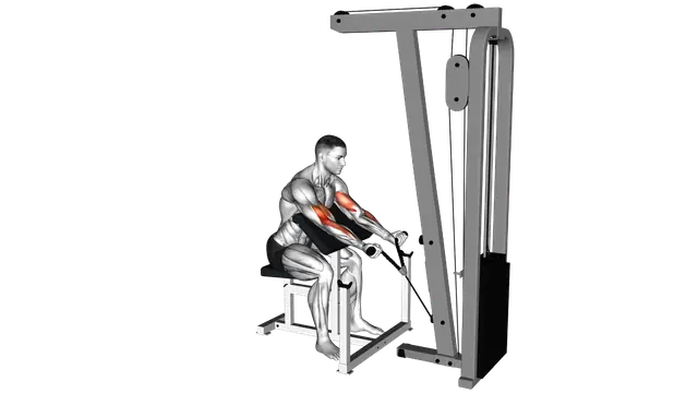Cable Preacher Curl (rope attachment) exercise demonstration