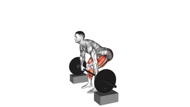 Barbell Deadlift from Blocks exercise demonstration
