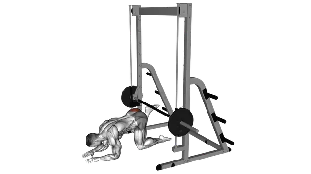 Smith Donkey Kick exercise demonstration