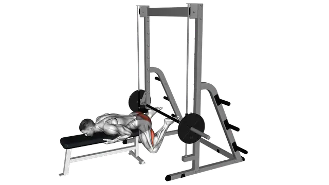 Smith Reverse Hyperextension exercise demonstration