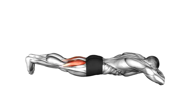 Bodyweight Lying Legs Curl exercise demonstration