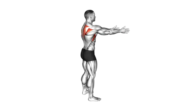 Bodyweight Standing Scapula Row exercise demonstration