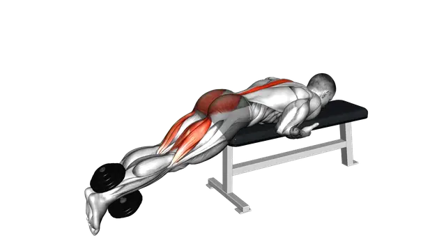 Dumbbell Reverse Hyperextension on Bench exercise demonstration