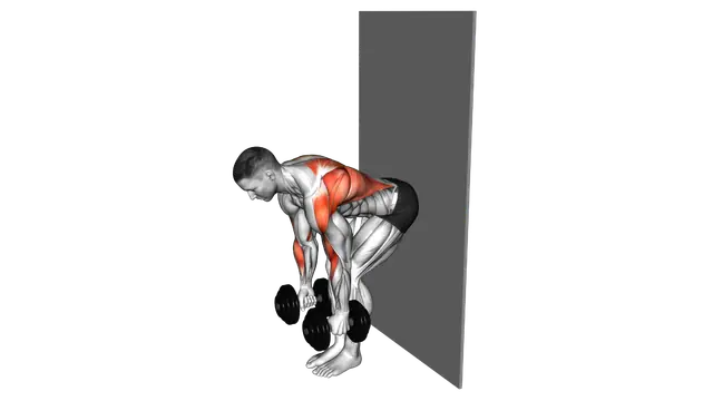 Dumbbell Bent Over Row against Wall exercise demonstration