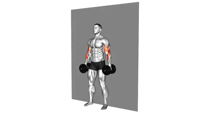 Dumbbell Alternate Hammer Srtict Curl exercise demonstration