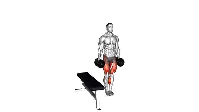 Dumbbell Lateral Step up exercise demonstration