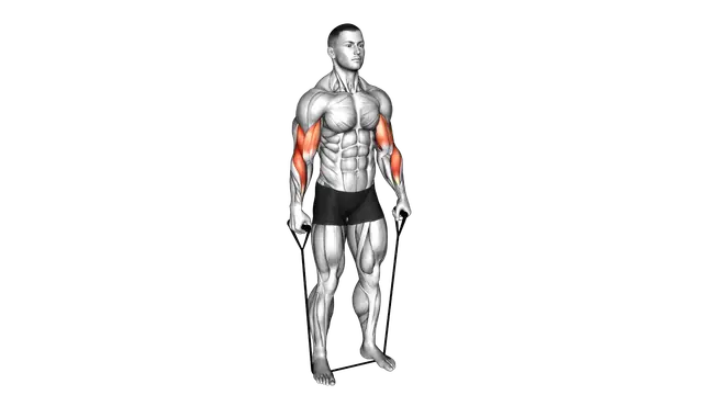 Band Standing Reverse Curl exercise demonstration