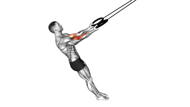 Ring Arm Curl exercise demonstration