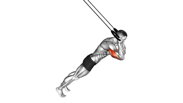 Ring Triceps Extension exercise demonstration