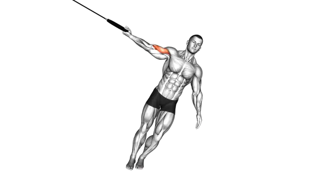Ring One Arm Biceps Curl exercise demonstration