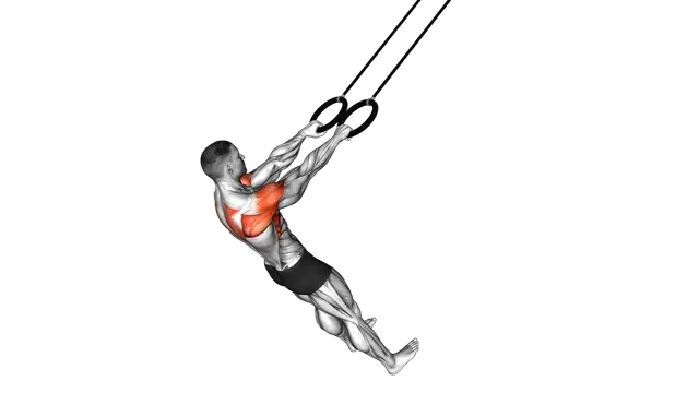 Ring Y Raise exercise demonstration