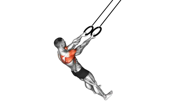 Ring Split Fly exercise demonstration