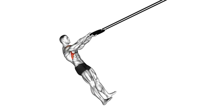 Ring Front Raise exercise demonstration