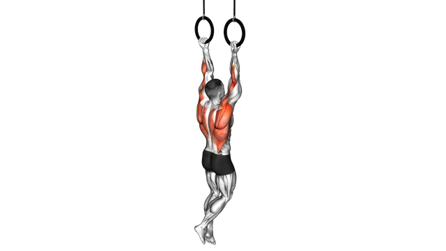 Ring Chin up exercise demonstration
