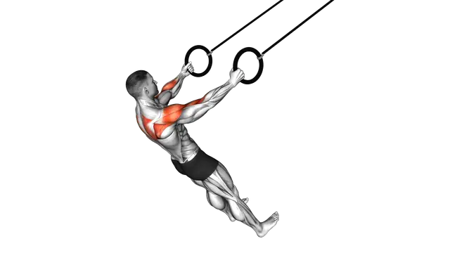 Ring Rear Delt Row exercise demonstration