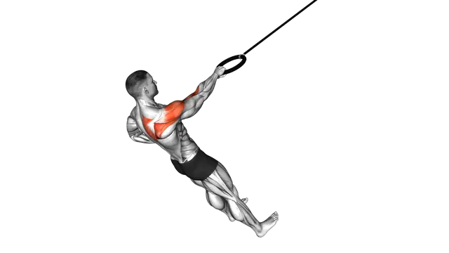 Ring Single Arm Rear Delt Row exercise demonstration