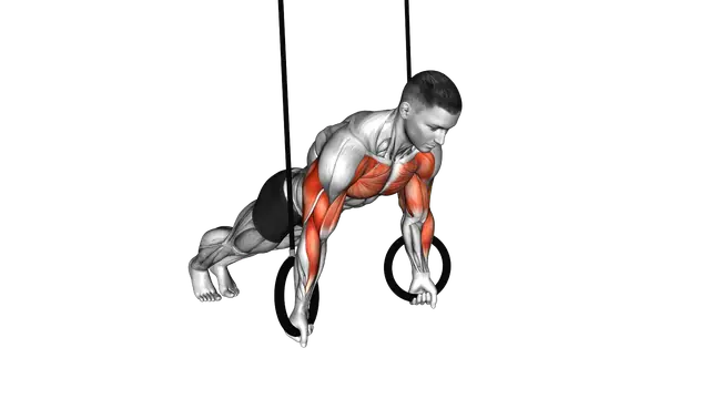 Ring Reverse Push Up exercise demonstration