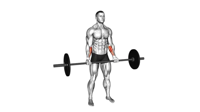 Barbell Standing Wrist Curl exercise demonstration
