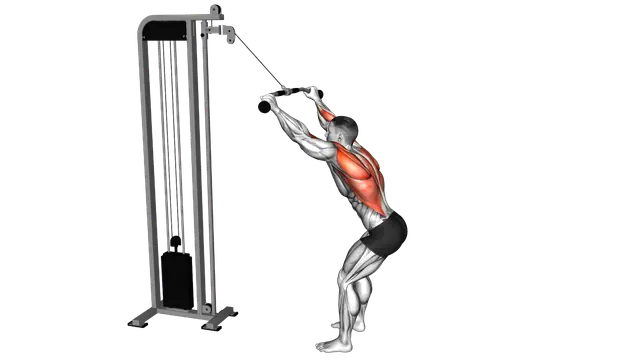 Cable Standing Lat Pulldown exercise demonstration