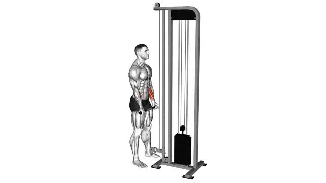 Cable Standing Wrist Curl exercise demonstration