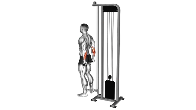Cable Standing Back Wrist Curl exercise demonstration
