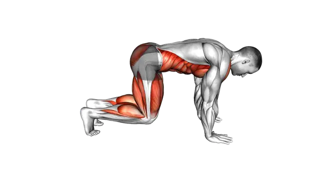 Bear Plank Kickback exercise demonstration