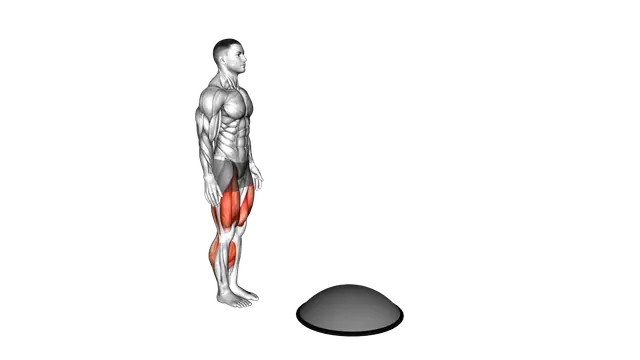 Bosu Ball Step up High Knee exercise demonstration
