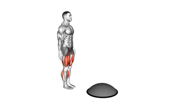 Bosu Ball Step up Single Leg Deadlift exercise demonstration