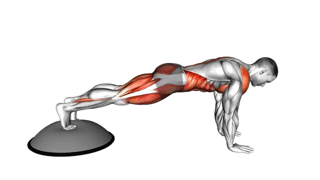 Bosu Ball Mountain Climber exercise demonstration